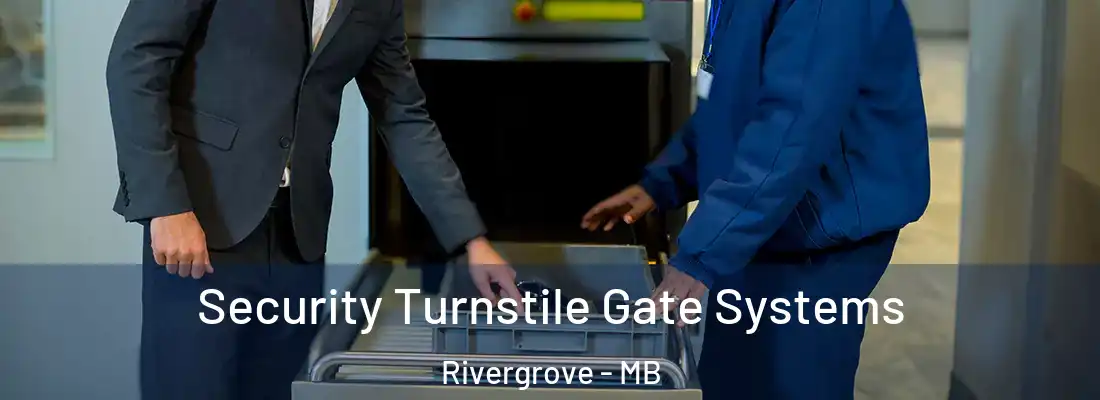 Security Turnstile Gate Systems Rivergrove - MB