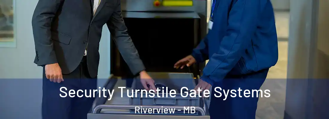  Security Turnstile Gate Systems Riverview - MB