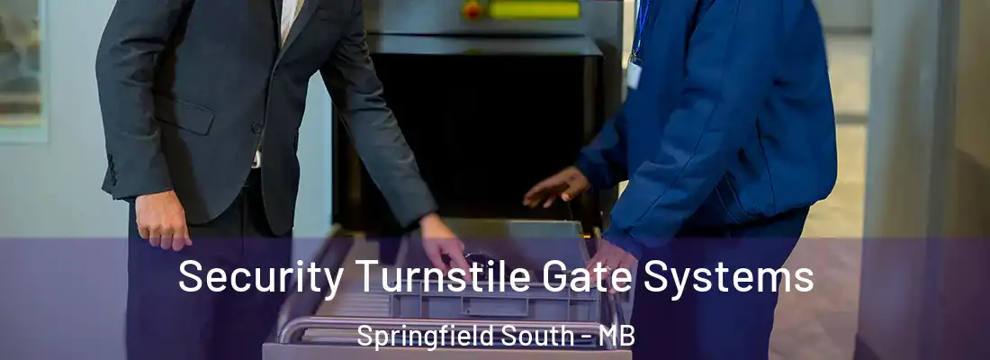  Security Turnstile Gate Systems Springfield South - MB