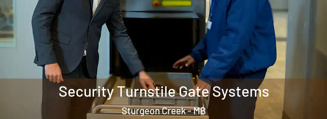  Security Turnstile Gate Systems Sturgeon Creek - MB
