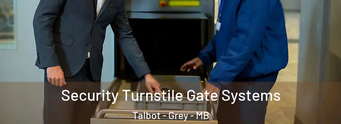  Security Turnstile Gate Systems Talbot - Grey - MB
