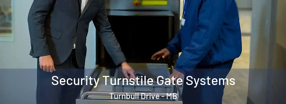  Security Turnstile Gate Systems Turnbull Drive - MB