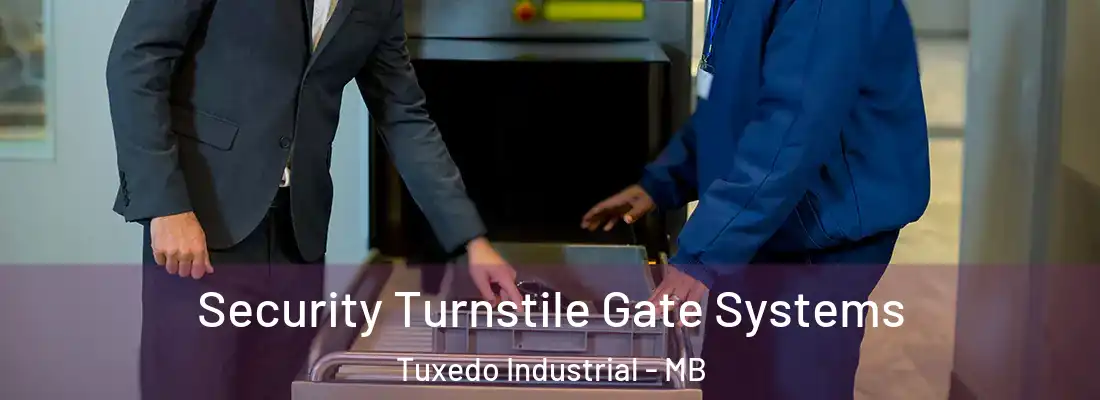 Security Turnstile Gate Systems Tuxedo Industrial - MB