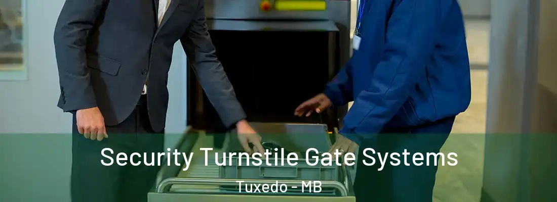  Security Turnstile Gate Systems Tuxedo - MB