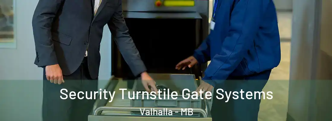  Security Turnstile Gate Systems Valhalla - MB