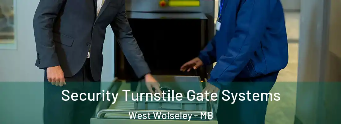  Security Turnstile Gate Systems West Wolseley - MB