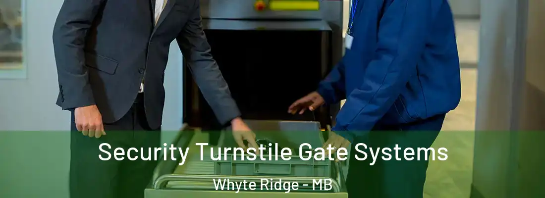  Security Turnstile Gate Systems Whyte Ridge - MB