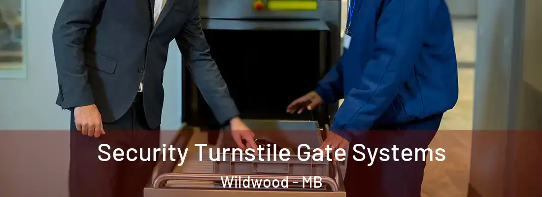 Security Turnstile Gate Systems Wildwood - MB
