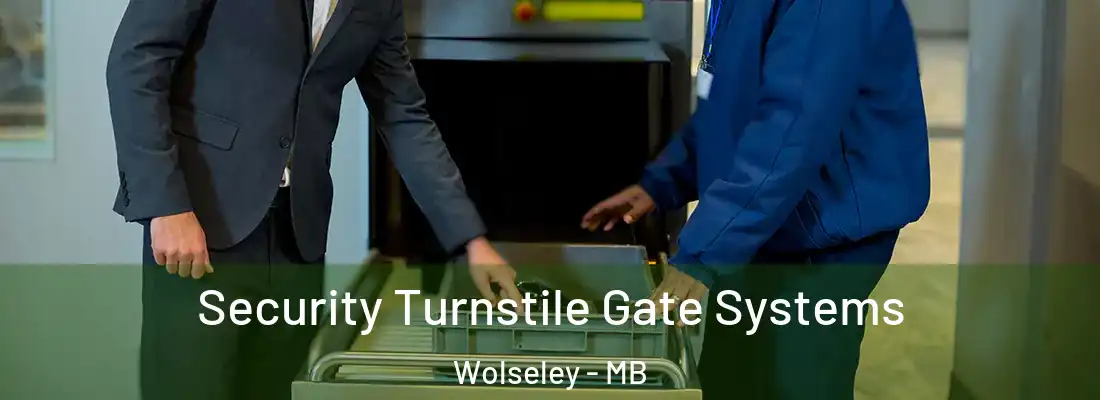  Security Turnstile Gate Systems Wolseley - MB