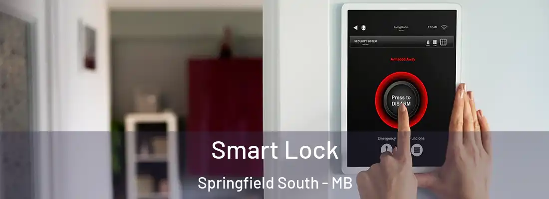  Smart Lock Springfield South - MB