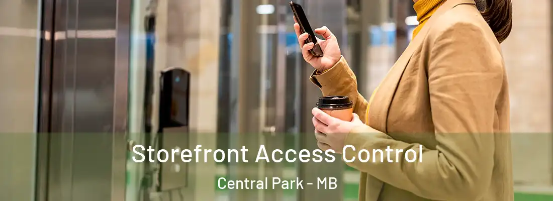  Storefront Access Control Central Park - MB