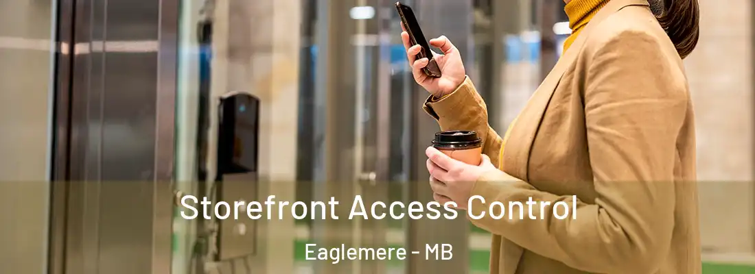  Storefront Access Control Eaglemere - MB