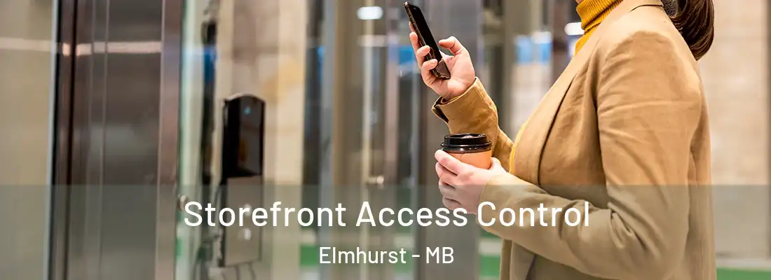  Storefront Access Control Elmhurst - MB
