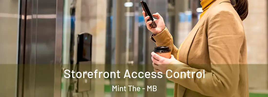  Storefront Access Control Mint The - MB