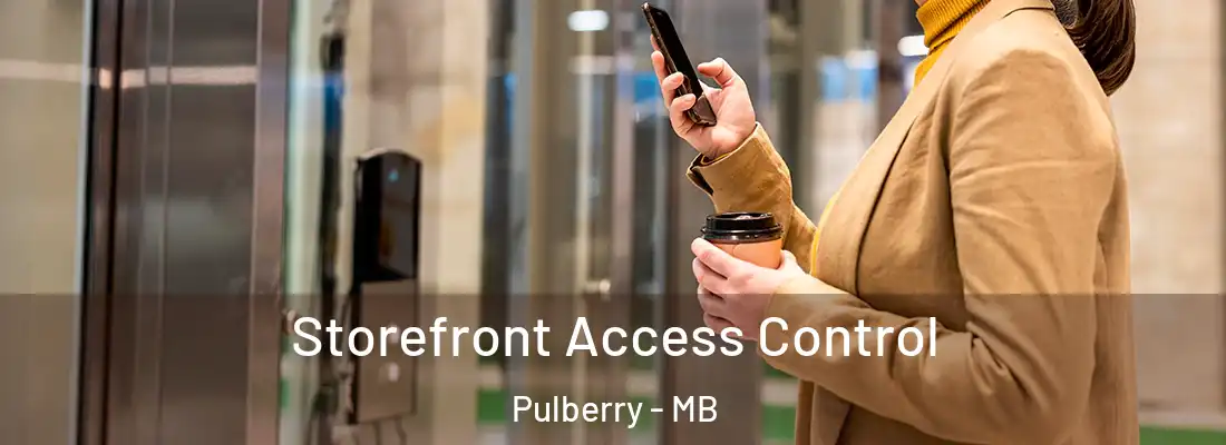  Storefront Access Control Pulberry - MB