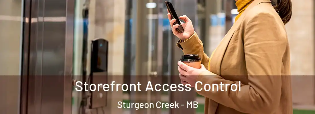  Storefront Access Control Sturgeon Creek - MB