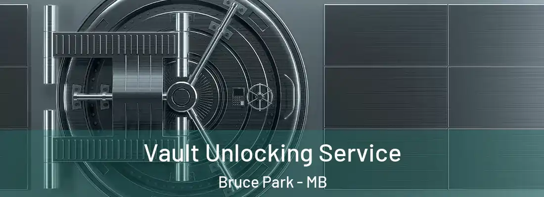  Vault Unlocking Service Bruce Park - MB