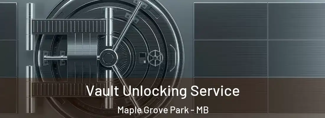  Vault Unlocking Service Maple Grove Park - MB
