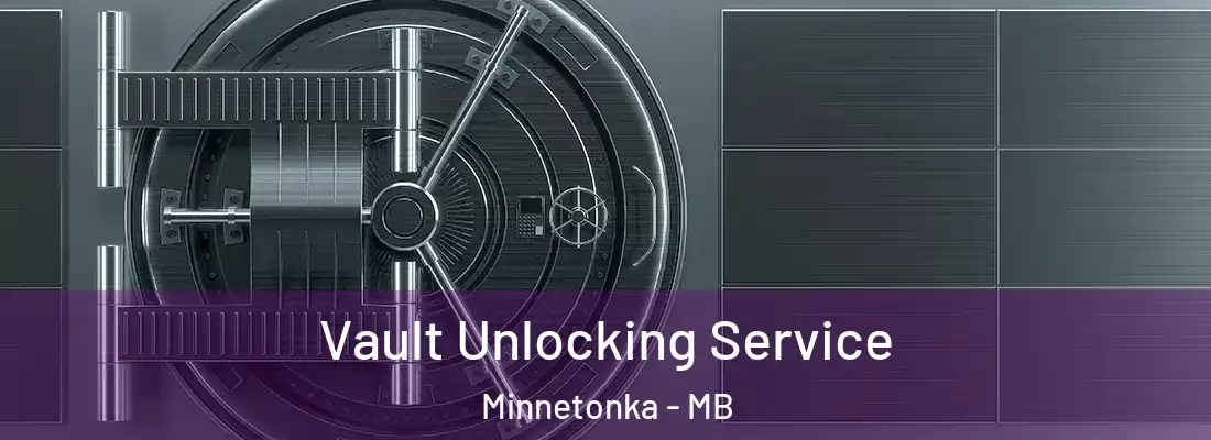  Vault Unlocking Service Minnetonka - MB