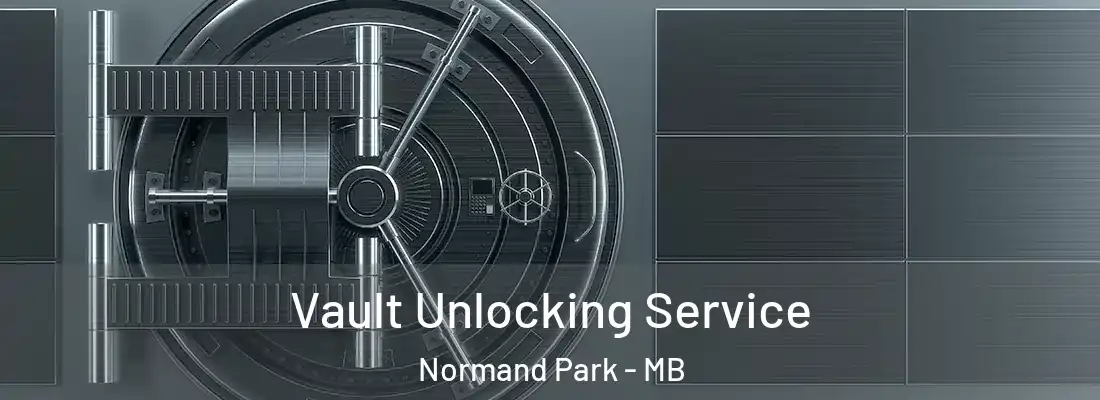  Vault Unlocking Service Normand Park - MB