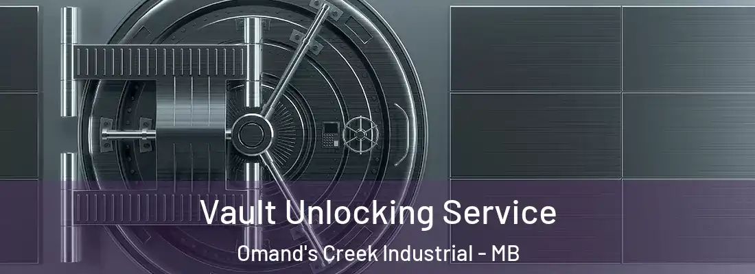  Vault Unlocking Service Omand's Creek Industrial - MB