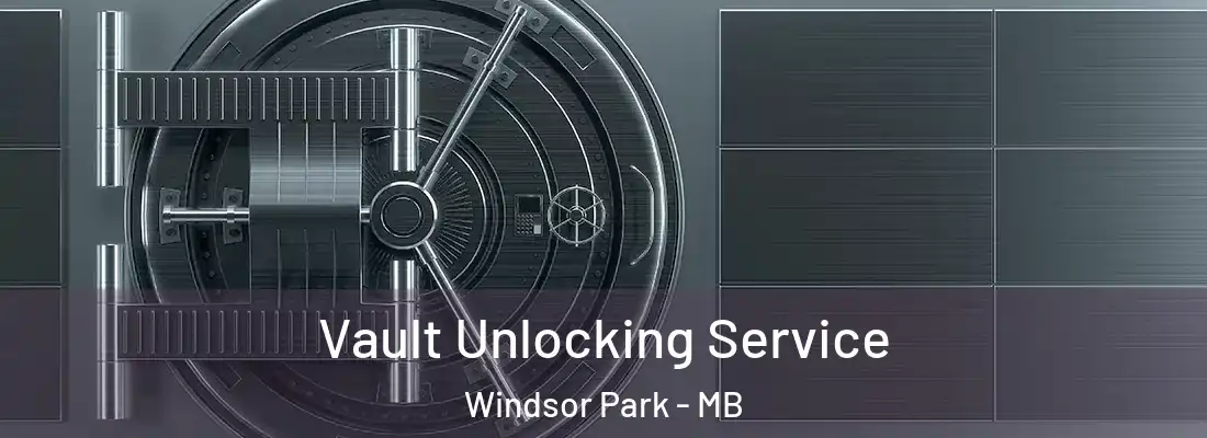  Vault Unlocking Service Windsor Park - MB