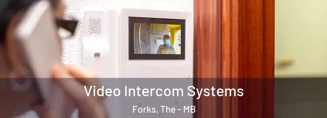  Video Intercom Systems Forks, The - MB