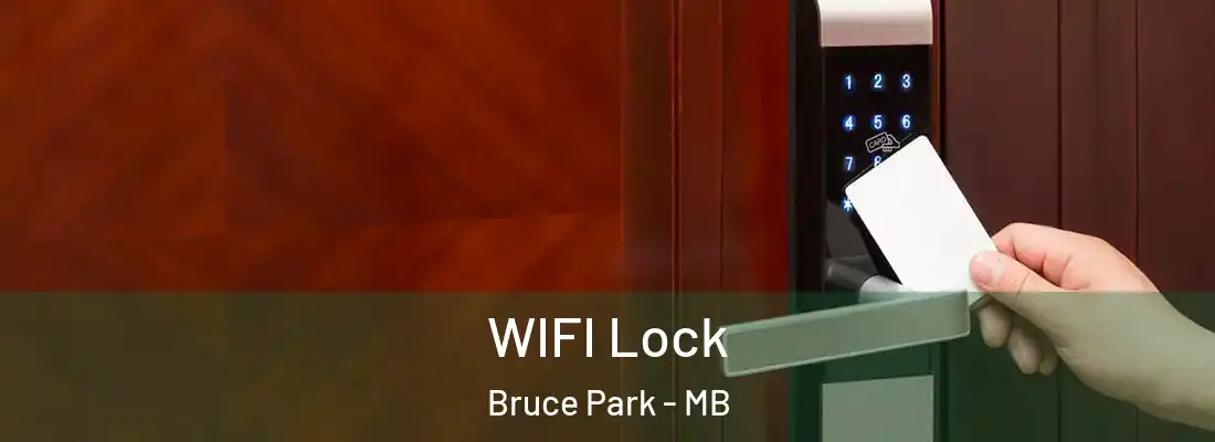  WIFI Lock Bruce Park - MB