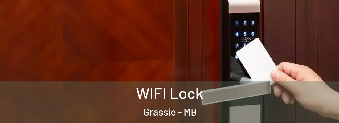  WIFI Lock Grassie - MB