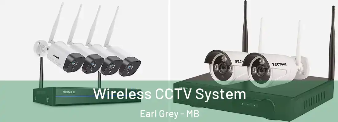  Wireless CCTV System Earl Grey - MB